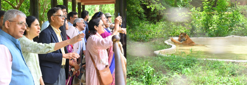 केंद्रीय वित्त आयोग के दल ने देखा नवा रायपुर में रेल्वे स्टेशन, जंगल सफारी का भी किया भ्रमण 1 image 59 1024x352 6lvwqt