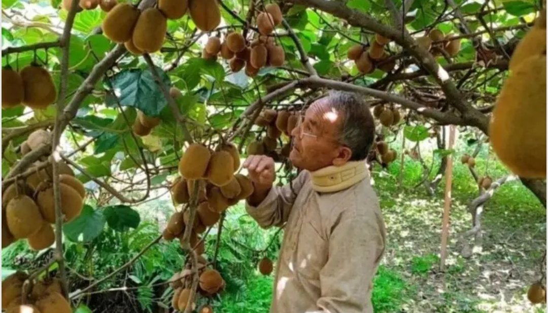 Screenshot 2024 11 05 22 29 46 69 40deb401b9ffe8e1df2f1cc5ba480b12