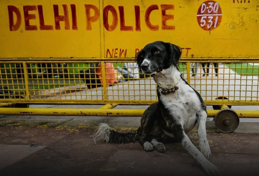 Screenshot 20250812 142434