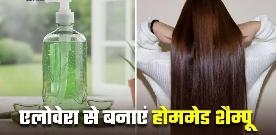 मजबूत और चमकदार बालों के लिए घर पर बनाएं Aloe Vera Shampoo, बालों में लौट आएगी जान 1 Screenshot 20250928 124230
