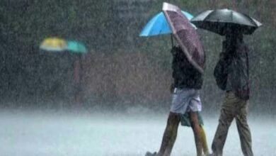 Screenshot 20251011 125426