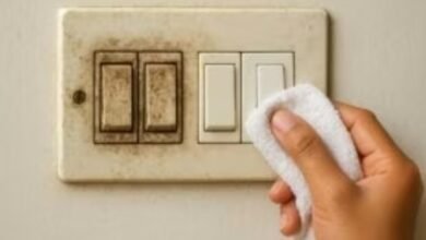 Screenshot 20251014 075103