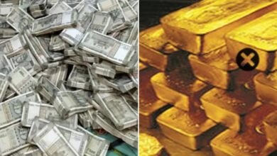 Screenshot 20251014 081309