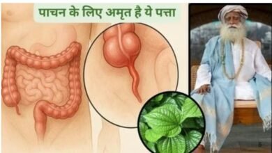 Screenshot 20251023 034146