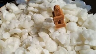 दिवाली के बाद बची खील से करें कमाल! मिनटों में करें अलग-अलग पकवान तैयार, जो बच्चों और बड़ों दोनों को भाए 4 Screenshot 20251024 070109