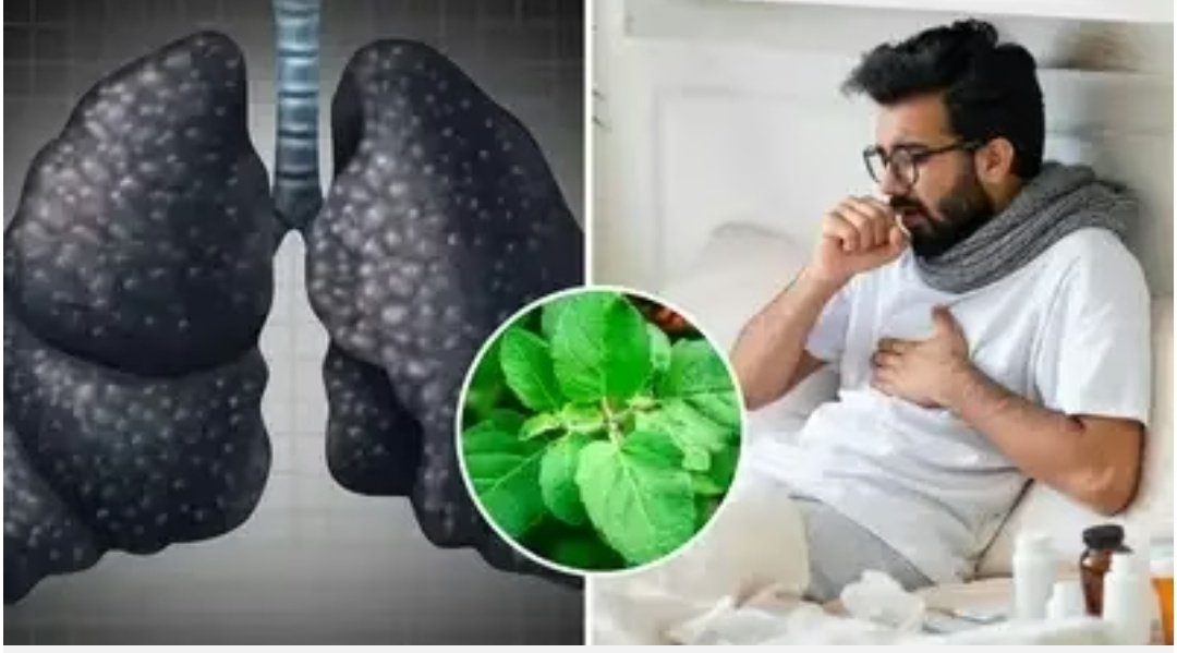 Screenshot 20251025 122415