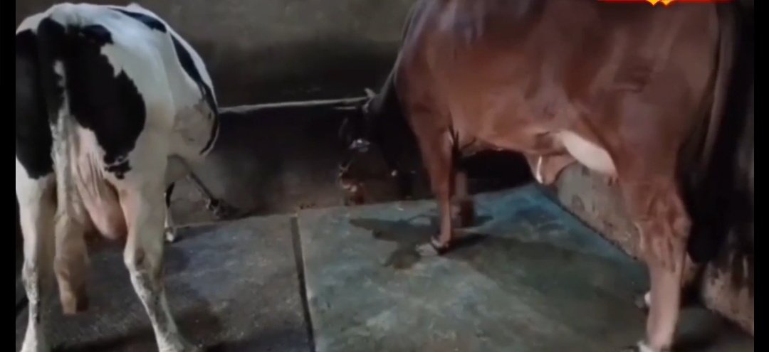 Screenshot 20251025 123024