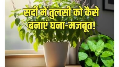 Screenshot 20251026 083949