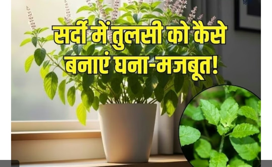 Screenshot 20251026 083949