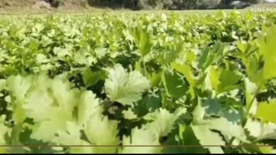 Screenshot 20251027 082030 1