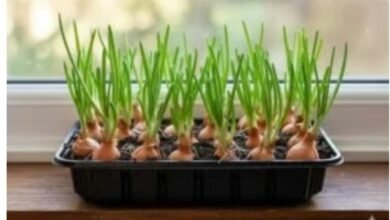 Screenshot 20251027 143649