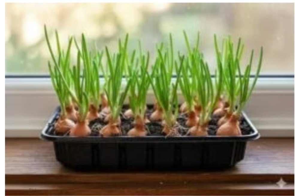 Screenshot 20251027 143649