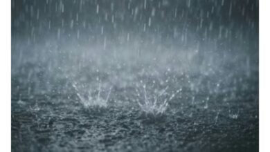 Screenshot 20251029 075646