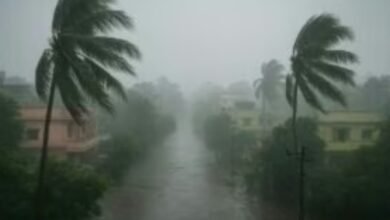 साइक्लोन मोंथा का झारखंड में कहर, कल इन जिलों में भारी बारिश की चेतावनी, मौसम विभाग ने जारी किया अलर्ट 3 Screenshot 20251030 043207