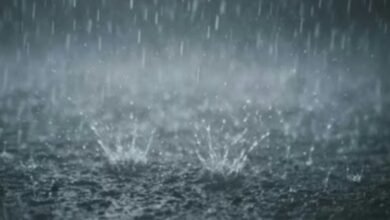 Screenshot 20251031 075754