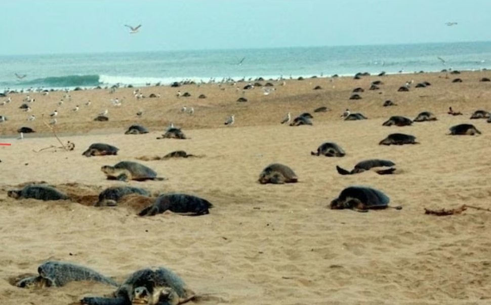 Screenshot 20251102 121255