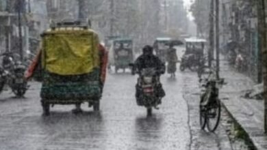 Screenshot 20251103 073621