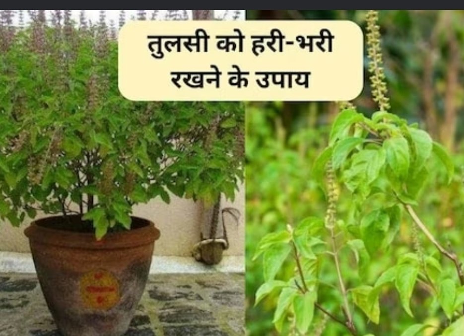 Screenshot 20251104 080204 1