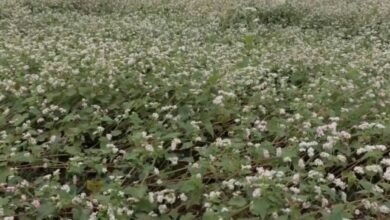 Screenshot 20251104 080454