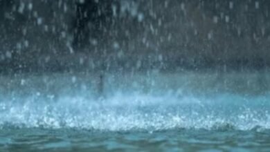 मौसम फिर दिखाएगा तेवर: 4 और 5 नवंबर को जमकर बरसेंगे बादल, इन राज्यों में बारिश का अलर्ट 5 Screenshot 20251104 081551