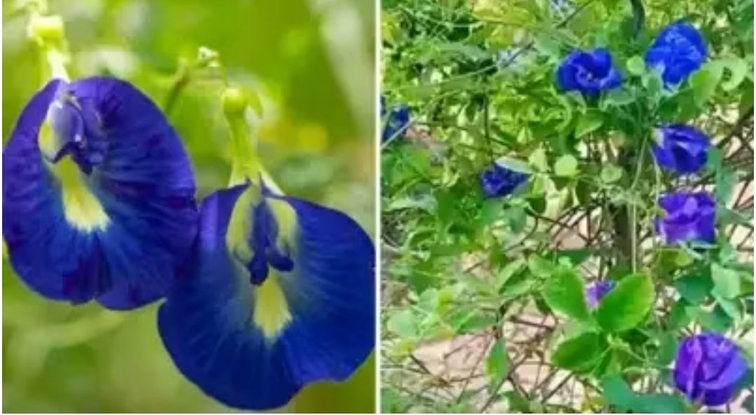 Screenshot 20251105 222308