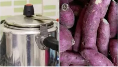 शकरकंद भूनने कोयला-अंगीठी की नहीं जरूरत, रक्षा की रसोई से मिला कुकर-नमक वाला तरीका, चूल्हे जैसा आएगा सौंधा स्वाद 5 Screenshot 20251105 222708 1