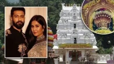 प्रग्नेंसी से पहले इस मंदिर गए थे विक्की कौशल और कैटरीना कैफ, यहां दर्शन से पुत्र रत्न की होती है प्राप्ति 4 Screenshot 20251109 041356