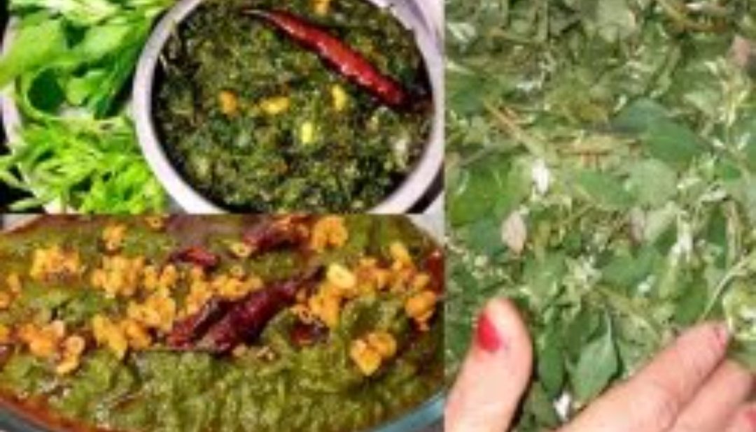 बथुआ का साग खाने के बाद भूल जाएंगे पनीर की सब्जी का स्वाद, सर्दियों में खूब खाएंगे बच्चे-बूढ़े सभी, नोट करें रेसिपी 1 Screenshot 20251109 042701