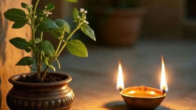 Screenshot 20251109 043452