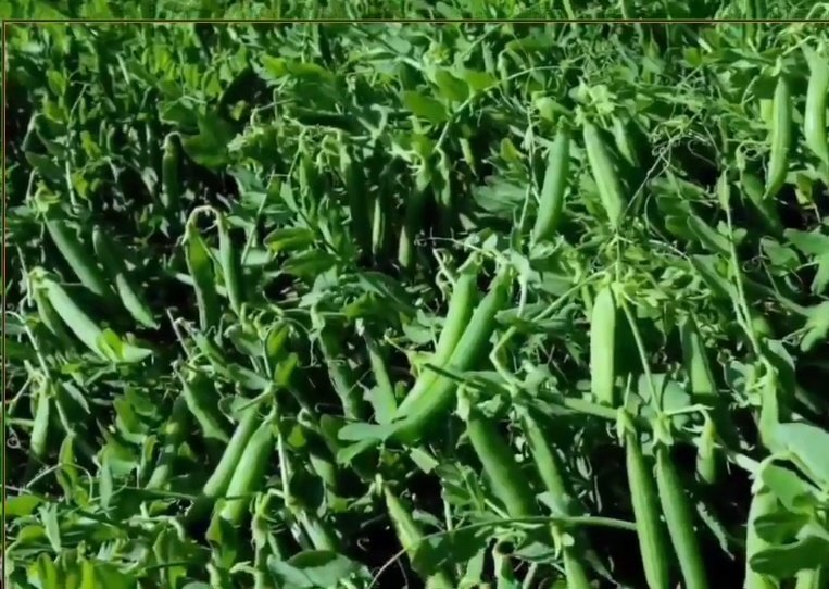 Screenshot 20251109 043733