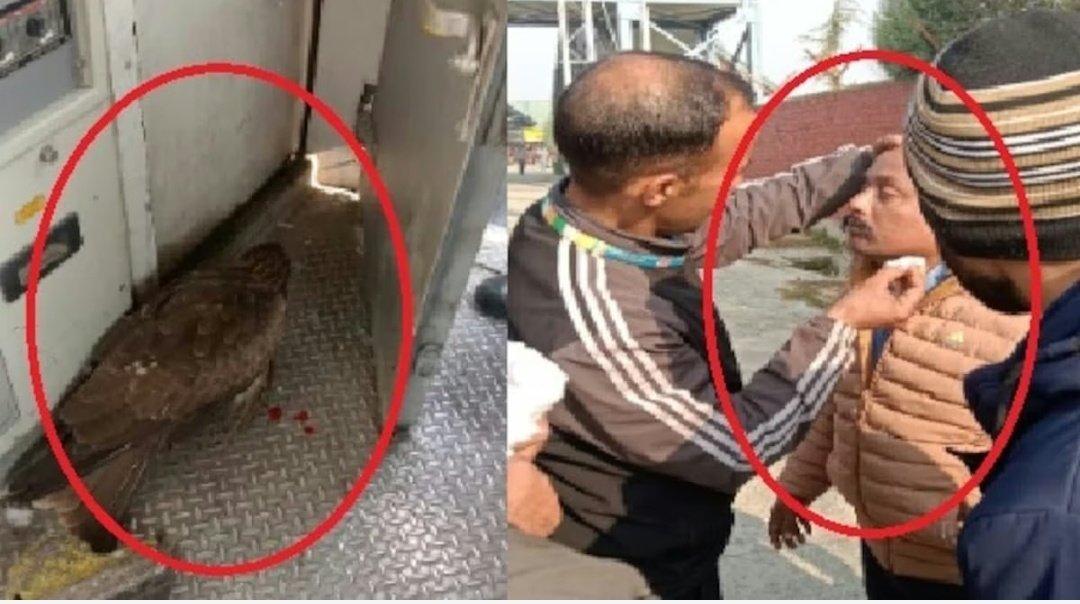 Screenshot 20251109 044255