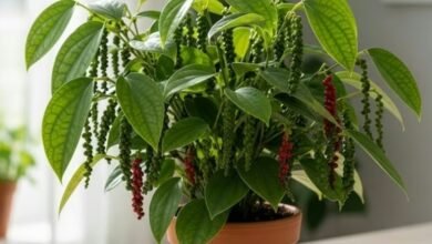 Screenshot 20251110 131320