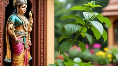 मां लक्ष्मी की कृपा पाने के लिए घर के मुख्य द्वार पर लगाएं ये पौधे, इनसे रखे दूरी 2 Screenshot 20251110 131807