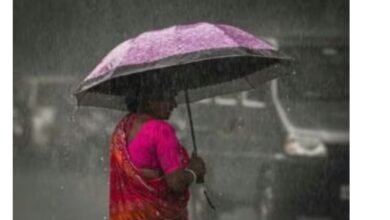 Screenshot 20251114 135406