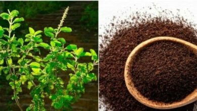 Screenshot 20251115 074615