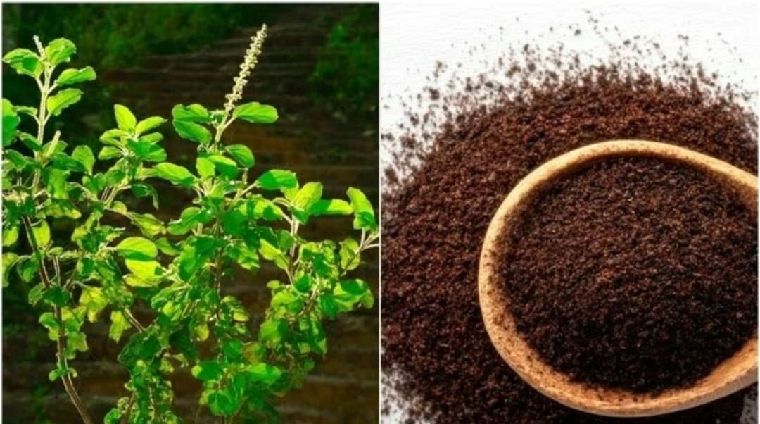 Screenshot 20251115 074615