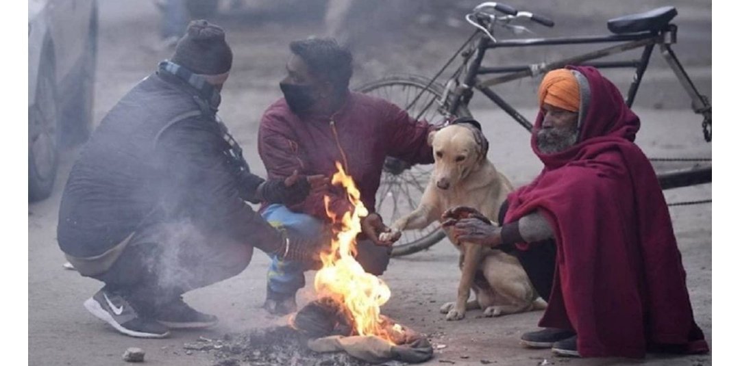 छत्तीसगढ़ में बढ़ी ठंड, इन जिलों में शीतलहर की चेतावनी 1 Screenshot 20251116 080703