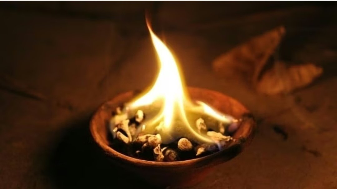 Screenshot 20251120 080322