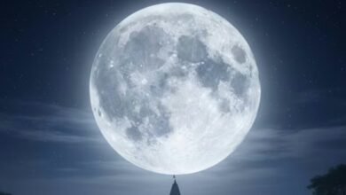 कब है मार्गशीर्ष पूर्णिमा? जानें डेट, मुहूर्त, स्नान-दान और पूजा का सही 2 Screenshot 20251121 074219