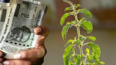 घर की इस दिशा में रख दें ये एक चीज, मां लक्ष्मी की कृपा से हर काम में मिलेगी तरक्की 3 Screenshot 20251123 131418