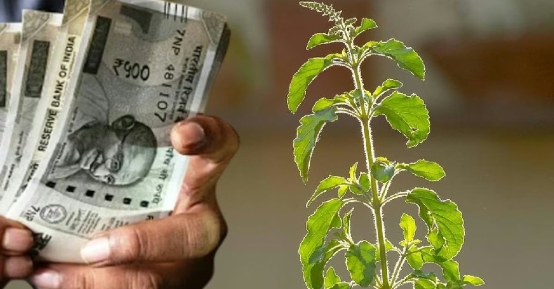 घर की इस दिशा में रख दें ये एक चीज, मां लक्ष्मी की कृपा से हर काम में मिलेगी तरक्की 1 Screenshot 20251123 131418