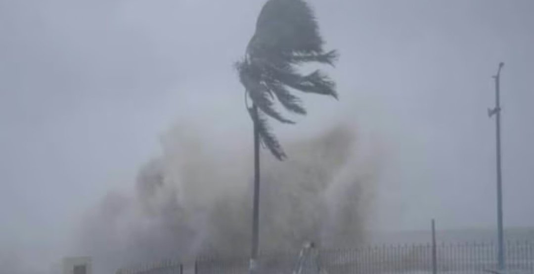 Screenshot 20251124 074133