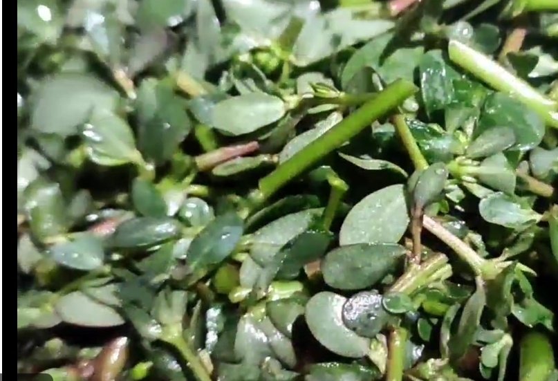 Screenshot 20251124 075150