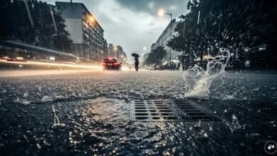 Screenshot 20251125 115733