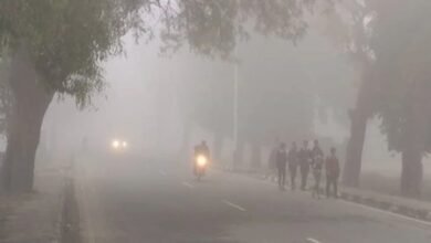 Screenshot 20251126 122325