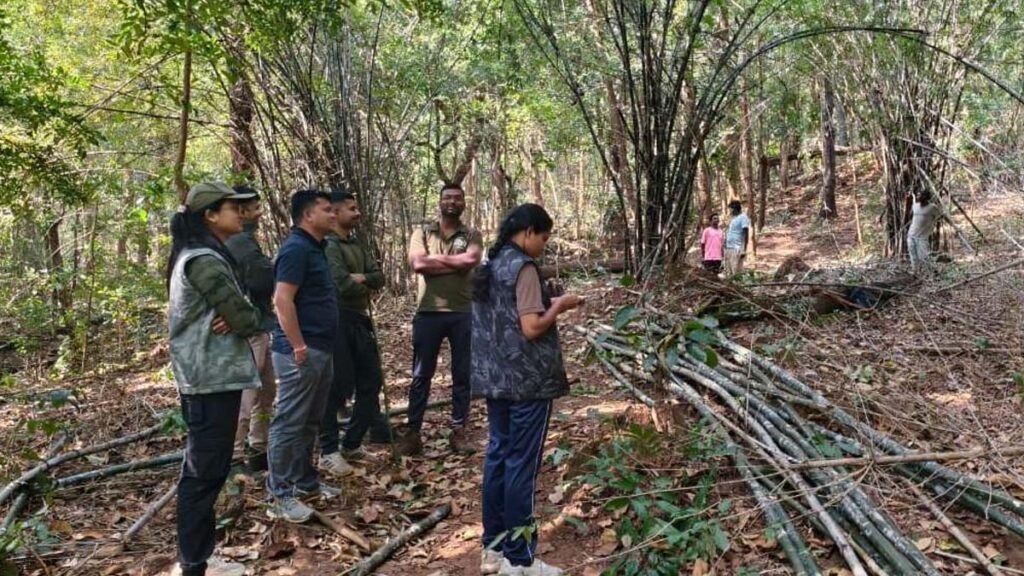 0502 1024x576 d57pDp