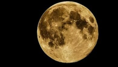 Screenshot 20251203 082420