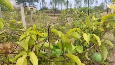 Screenshot 20251204 124203