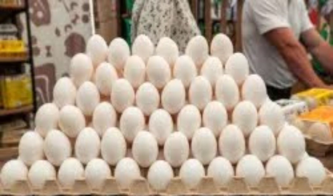 अंडा वेज है या नॉनवेज ? रोज खाने वाले आज तक नहीं जान पाए; मगर आप जरूर जान लें ये सीक्रेट 1 Screenshot 20251204 124248