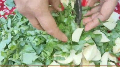 Screenshot 20251206 075330